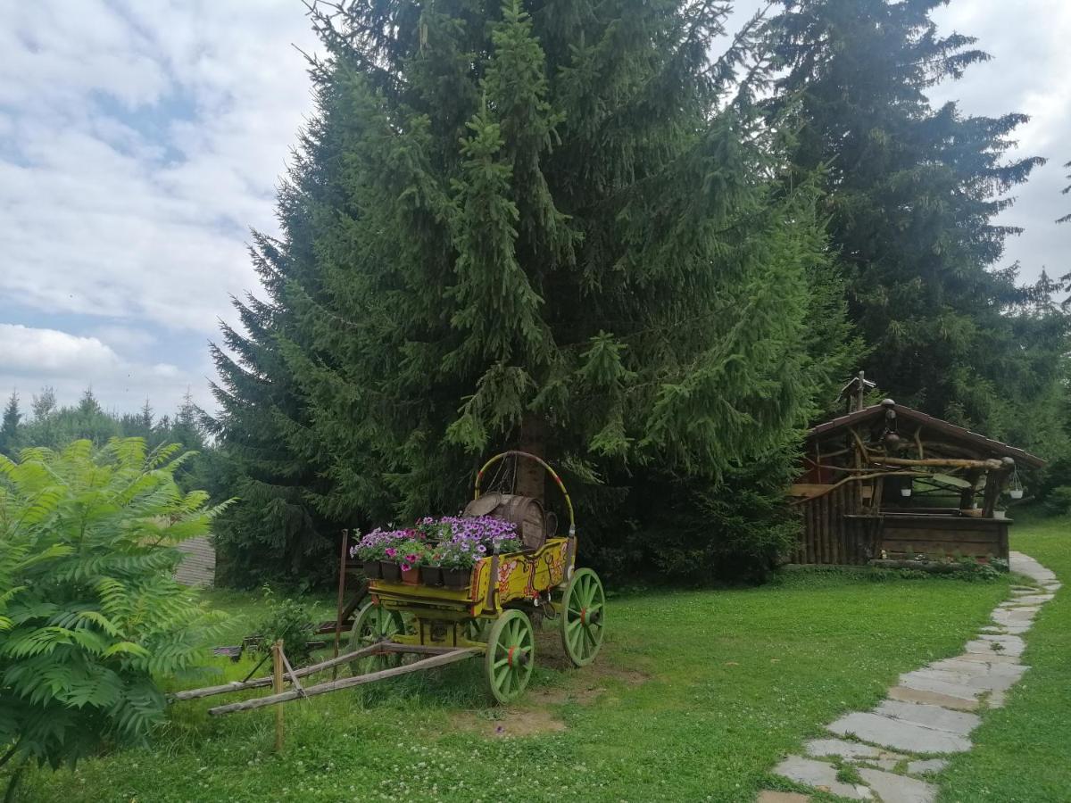 "Моето Любимо Място", Смолянски Езера - "My Favorite Place", Smolyan Lakes Eksteriør billede