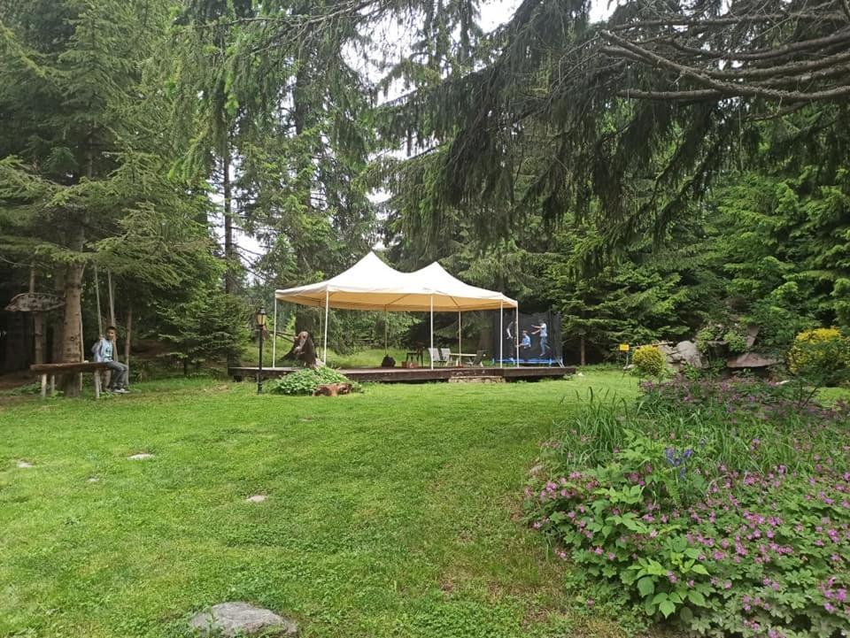 "Моето Любимо Място", Смолянски Езера - "My Favorite Place", Smolyan Lakes Eksteriør billede